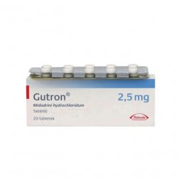 Гутрон таблетки 2,5 мг. №20 в Нефтеюганске и области фото