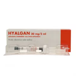 Гиалган Фидия (Hyalgan Fidia) / Гиалганбио шприц 2мл 20мг 1шт фото